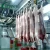 Import New Cattle SlaughterhouseProfessional Halal Style Cattle Slaughter Equipment for Sale from China