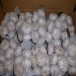 New Crop 5cm-6.5cm pure white and normal white fresh garlic