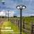 Import New Design China supplier IP65 waterproof led solar light garden from China