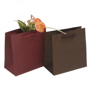 New Plain Special Fashionable High Quality Paper Shopping Gift Bag