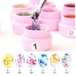 Newest professional nail uv gel with nail art dried flowers gel
