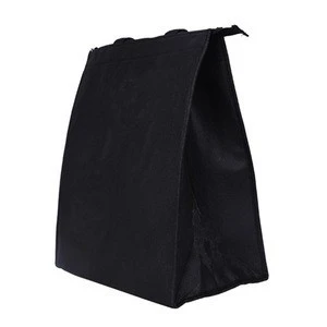 Non-woven Cooler Bag