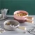 Nordic Style Wood Handle Spaghetti Pasta Bowl Round Dishes Plates Ceramic Dinner Plate Tableware Salad Bowl Ceramic