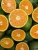 Import Orange Fresh Fruit Delicious Vietnam Orange For Sale Fresh Navel Orange from China