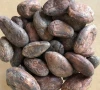 Organic Dried Cocoa Beans (African Origin)
