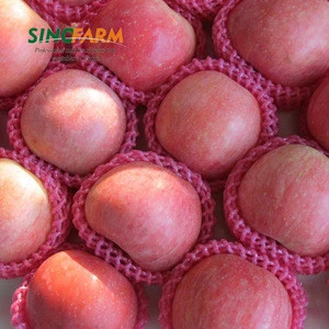 Origin China fresh fuji apple fruit for sale fuji apple
