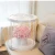 Import Over sized  PVC transparent panoramic festival round-shaped love hug bucket flower package flower gift box from China