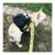 Import Pet Dog Saddle Bag Pack Backpack for Outdoor Hiking Camping Training Pet Carrier from China