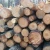 Import PINE SPRUCE BIRCH OAK ASH LOGS/TIMBER and eucalyptus timber wood logs/crude wood from Denmark