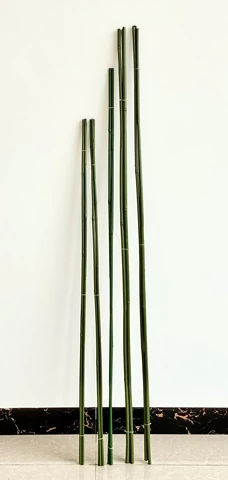 plastic coated bamboo poles/ plastic coated natural garden bamboo canes / Huaiji bamboo