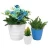 Import Plastic small flower pots planter/ flowerpot plastic from China