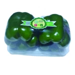 Plateau Green Healthy Vegetable Bell 2020 New Crop China Green Pepper Spicy Fresh COMMON