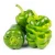 Plateau Green Healthy Vegetable Bell 2020 New Crop China Green Pepper Spicy Fresh COMMON