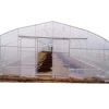 Poly Tunnel single span film Agriculture Greenhouse From China green house