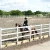 Import Portable top standard vinyl horse fence for horse racing from China
