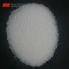Poultry Feed Additive Sodium Butyrate Powder