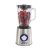 Import Power Blender & Processor 3-in-1 Crushing Blender, Dough Mixer,and Food Processor 800W blander mixer from China