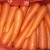 Import Premium fresh organic carrots from China