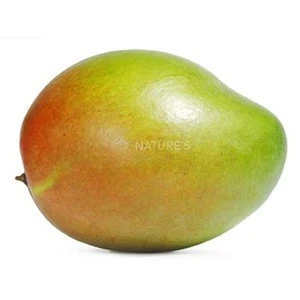 Premium sweet Alphanso Mango