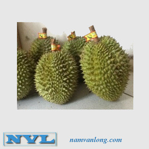 PREMIUM WHOLE MONTHONG DURIAN WITH HIGH QUALITY AND BEST PRICE