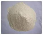 Price of Vital Wheat Gluten