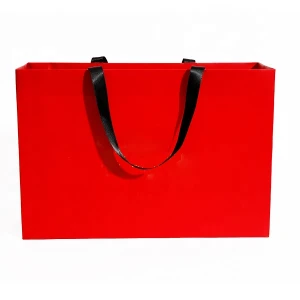 Printed Luxury Retail Shopping Paper Bags, Color Low Cost Paper Bags