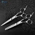 Import Professional 6 inch Salon Equipment Hair Cutting Thinning Scissors from China