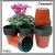 Import Professional plant pots flower pot with high quality from China