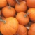 Import Pure and Natural Fresh Pumpkin Grade AA from South Africa