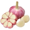 purple white garlic bulk garlic for sale export garlic fresh