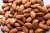 Import Quality Almond Nuts / Raw Natural Almond Nuts / Organic Bitter Almonds from Canada