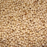 Quality American origin Natural sorghum