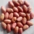 Import Quality Raw Peanuts Kernel / Raw Peanut in Shell / Roasted Blanched Peanuts from Uganda