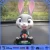 Import Resin Crafts Animal Theme Bobble Head Fox from China