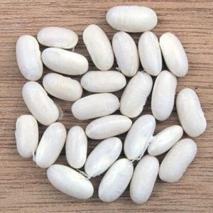 RICH  QUALITY  SOUTH  AFRICAN  WHITE  KIDNEY  BEANS