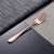 Import Rose Gold Flatware Set For Restaurant from China