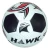 Import Rubberized-Hand Stitched Soccerball from India