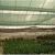 Import sanfan/100% Virgin HDPE  HDPE Garden Green Sun Shade Net / Netting / Cloth for agriculture from China