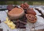 Sell Premium grade Dried Grade A Cocao/ Cacao/ Chocolate bean affordable prices