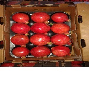 Selling Natural Fresh Pomegranate Price