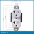 Import Shanghai Linsky UL Approved 20 Amp 125 V Duplex Receptacle from China