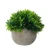 Import Small Home Artificial succulent plants potted Small artificial ball bonsai For Home Desk Decor from China