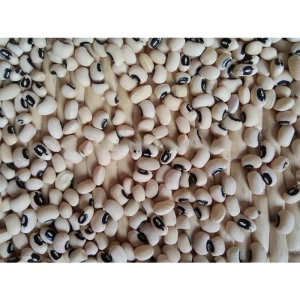 soya black eye beans from Best offer buyers