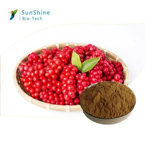 SQT Natural Herbal Extracts Factory supply 2%-10% Schisandrins Schisandra Extract with Schisandra Polysaccharides 40%