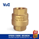 Stainless Steel Brass Spring Check Valve (VG12.90081)