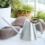 Import stainless steel garden watering can/ Spray water kettle from China