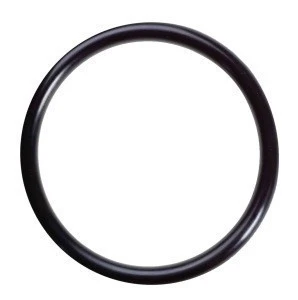 Standard customized nitrile NBR rubber  O rings with big size
