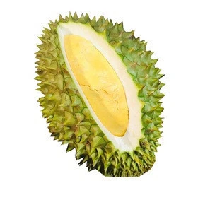 Summer fresh Durian for wholesale export sweet taste organic