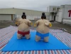 Sumo wrestling suits costume for sale inflatable game/Hot sale Sumo Suits B6005