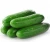 Import super Fresh Cucumber For Salad Cucumber from USA